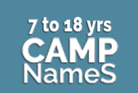Summer Camps Save
